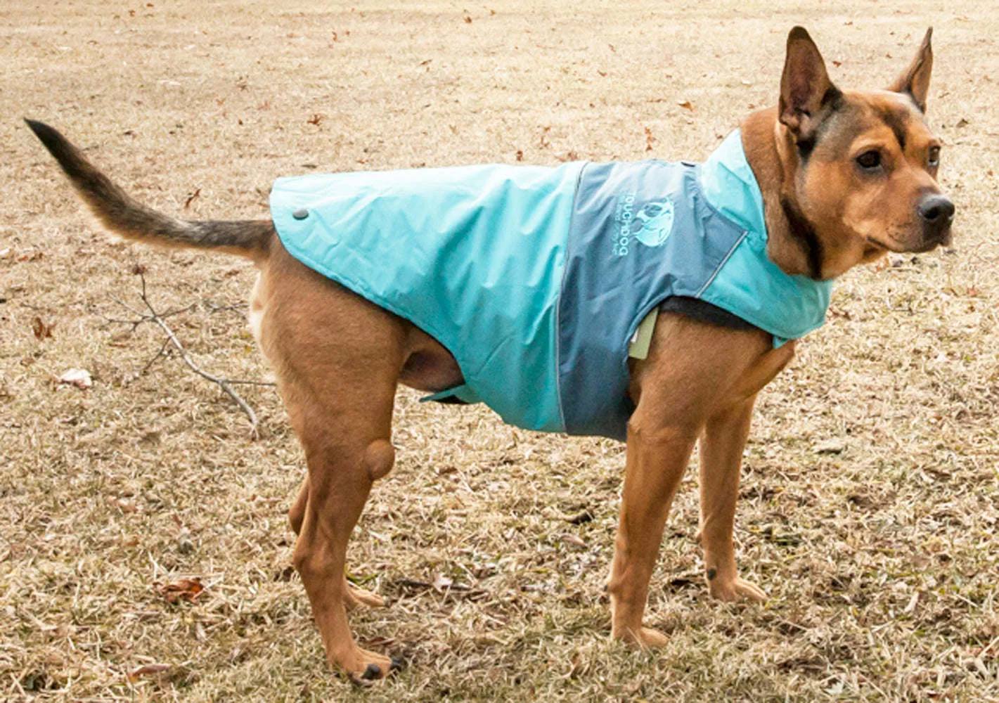 Touchdog Waterproof Convertible Dog Jacket-Blue