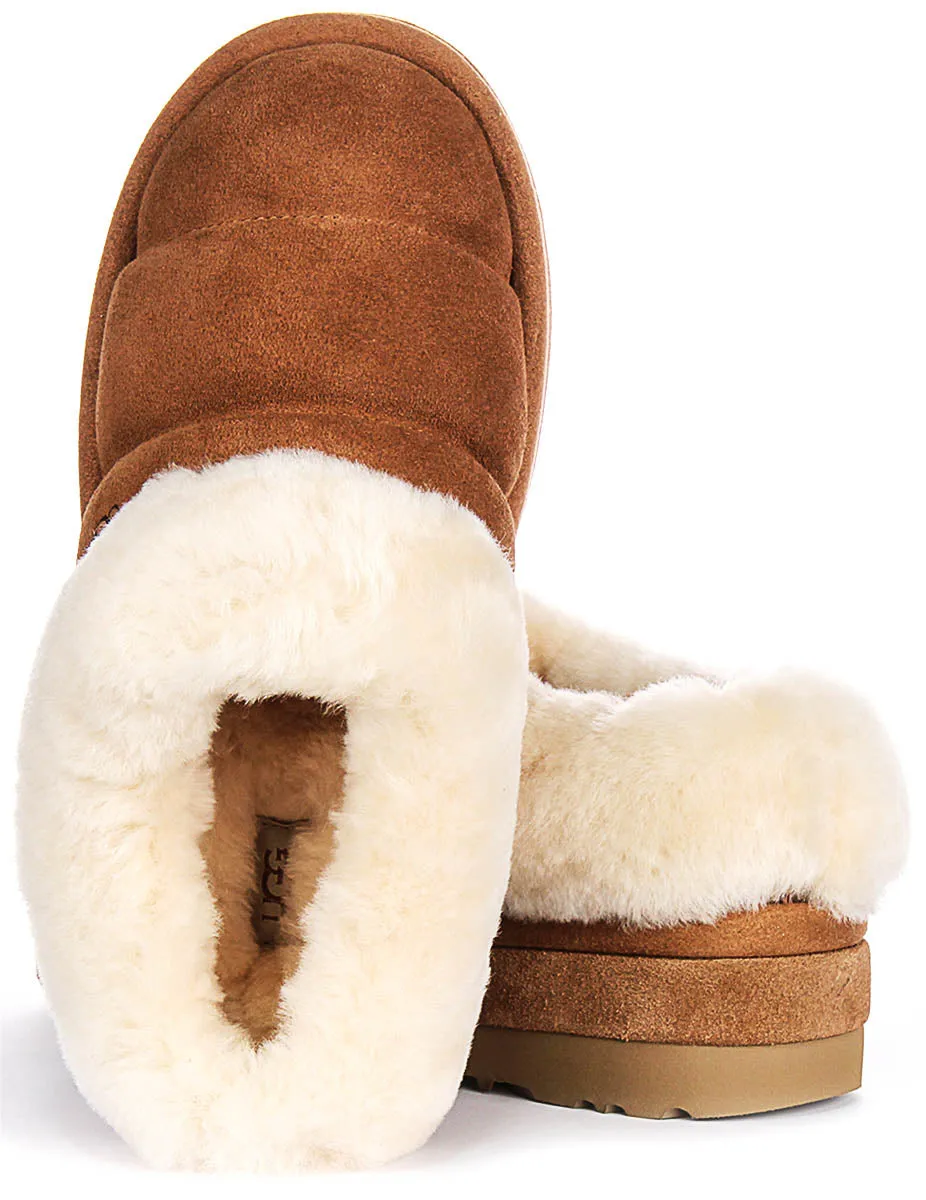 Ugg Australia Tazzlita In Chestnut For Women