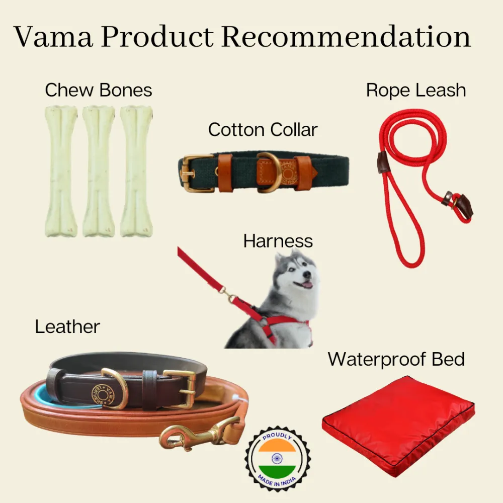 Vama Leathers Reflective Soft Handle All Weather Leash for Dogs (Sunrise Orange)