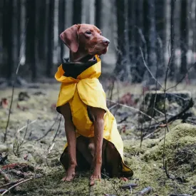 Visibility Raincoat in Yellow