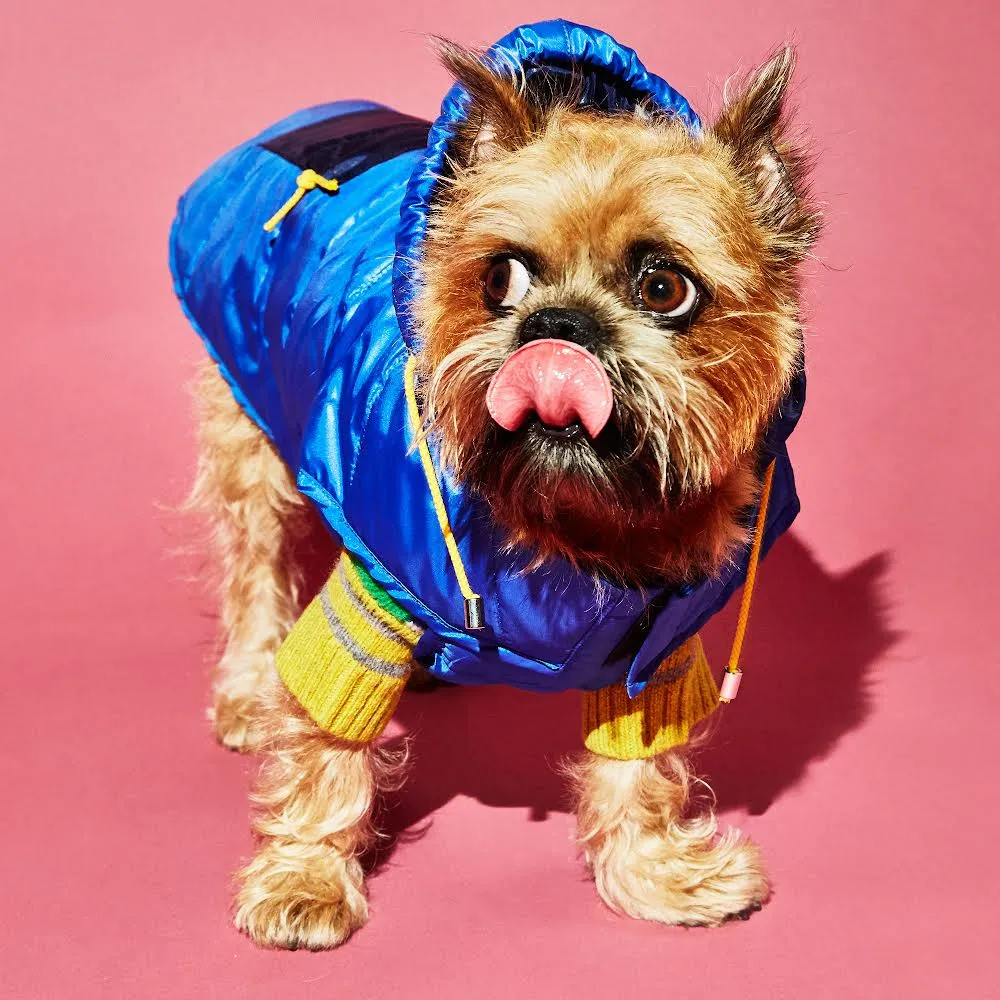 Ware of the Dog Royal Navy Nylon Dog Puffer Raincoat