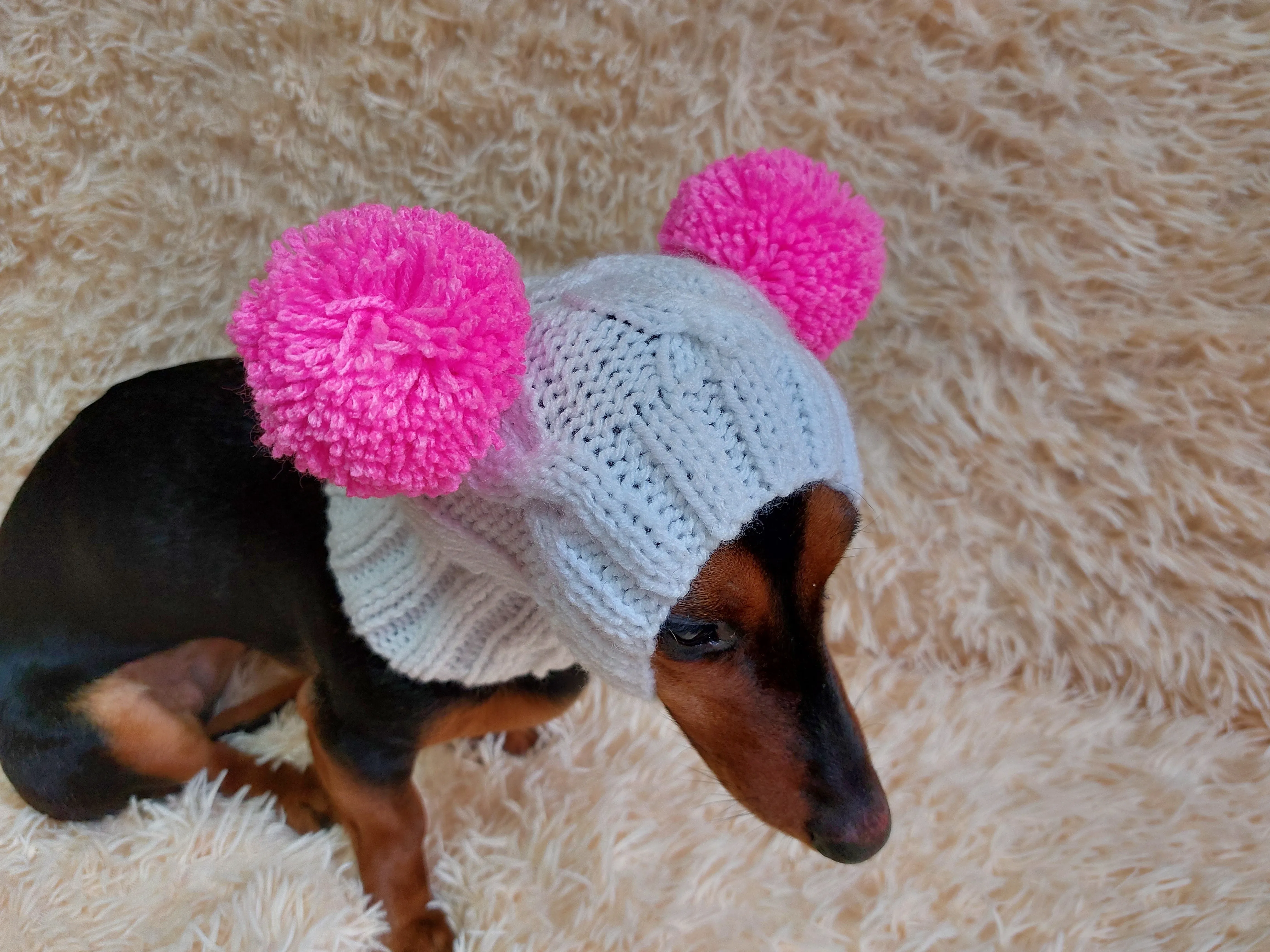 White Pet Hat With Colorful Pom Poms Dog Dachshund Warm Clothes Outfit Pom Pom Hat