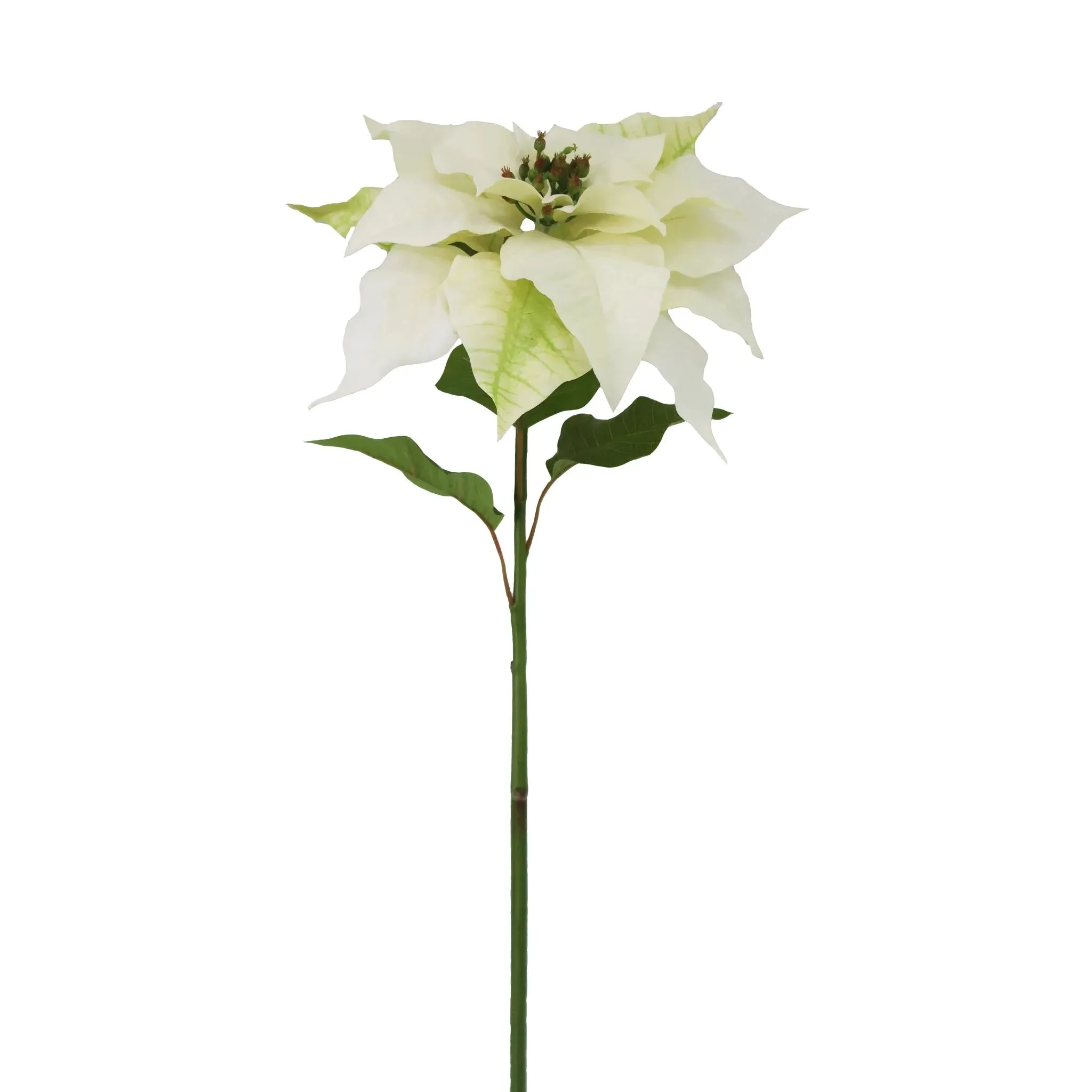 White Poinsettia Pick