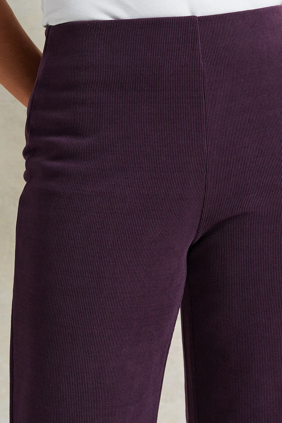 Women Purple Knitted Trousers