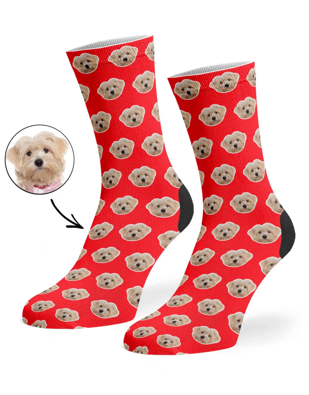 Your Dog Pattern Socks