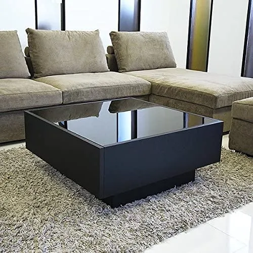 Zara Furniture Engineering Wood Coffee Table (Finish Color WENGE), Black, Medium