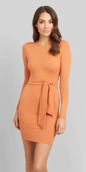 Zara Tie Dress